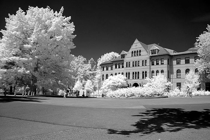 B & W digital infrared image