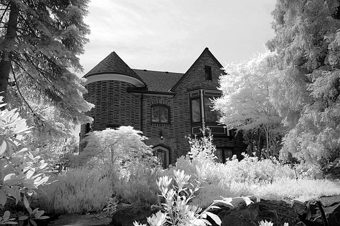 B & W digital infrared image