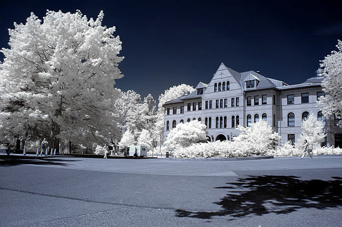 Color digital infrared image
