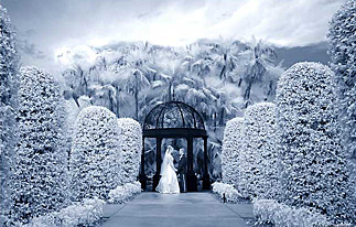 Infrared wedding photography article