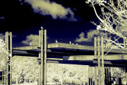 SONY DSC