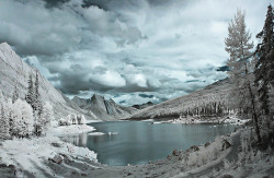 54568b051b43b-MedicineLake_Jasper