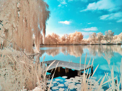 53e27d838d14f-image