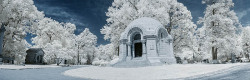 53b360bea34d1-lifepixel_004
