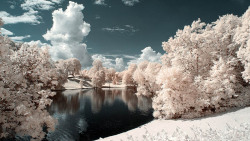 53bff7de178db-the_pond__new_version__by_myinqi-d7q1xfu