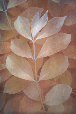 5394f06e8de51-LeaveswithTextures