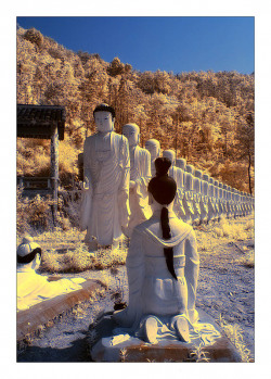 54ad931f49bd5-22Buddha