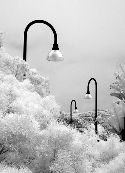 54ae23b4ad066-IR-SFZoo2772