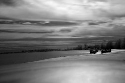 54caee5cccccf-DSC_0197