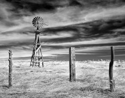 54d588b51cdf9-22Windmill2211x14.jpg
