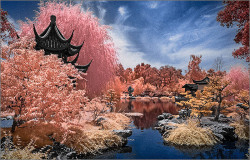 54f0a1a78a1fa-Lifepixel_Dreamscape_on-canvas.jpg