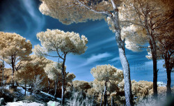54fd908338564-CES_8947