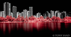 5530f9815514b-C67A3009-Editar.jpg