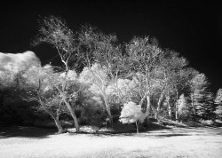 53e7514751d7c-infrared2