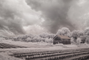 13-infrared-photography-bill-smithuysen-