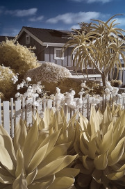infrared-house-and-garden-del-mar-california-photo