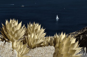 infrared-point-loma-san-diego-harbor-photo