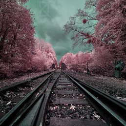 10-infrared-photography-david-keochkerian