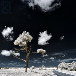 14-infrared-photography-david-keochkerian