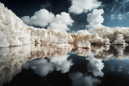 16-infrared-photography-david-keochkerian