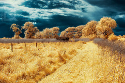 3-infrared-photography-david-keochkerian