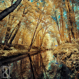 4-infrared-photography-david-keochkerian