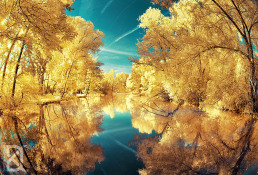 6-infrared-photography-david-keochkerian