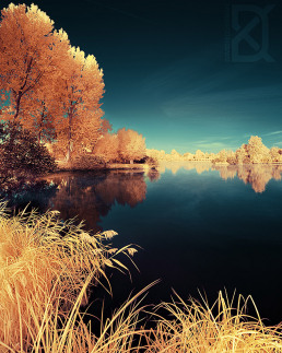 7-infrared-photography-david-keochkerian