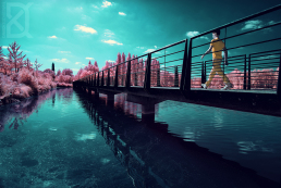 David Keochkerian Infrared Gallery - Infrared Conversions, IR ...