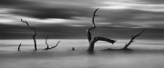 02-Donald-Withers-Infrared-Gallery