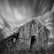 09-Donald-Withers-Infrared-Gallery