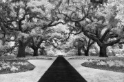 12-Donald-Withers-Infrared-Gallery