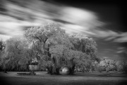 21-Donald-Withers-Infrared-Gallery