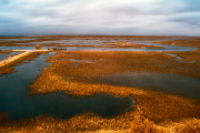 22-Donald-Withers-Infrared-Gallery