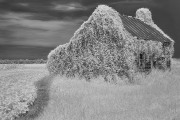 23-Donald-Withers-Infrared-Gallery