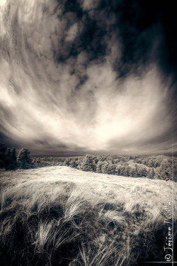 Mont Saint-Frieux Vertorama infrared