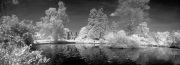 gordon-bain-infrared-gallery-1