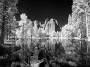 gordon-bain-infrared-gallery-77