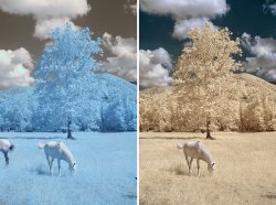 IR-post-production-example-18