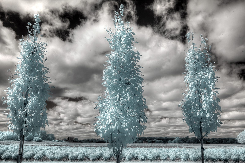 Jane_Liners_Infrared_Image8