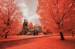 10-infrared-photography-manish-mamtani