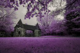 11-infrared-photography-manish-mamtani