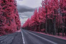 17-infrared-photography-manish-mamtani