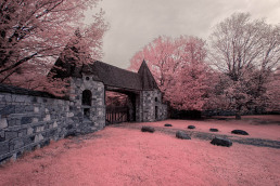 19-infrared-photography-manish-mamtani