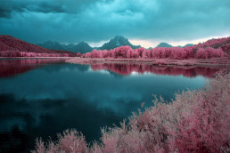 3-infrared-photography-manish-mamtani