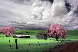 5-infrared-photography-manish-mamtani