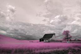 6-infrared-photography-manish-mamtani