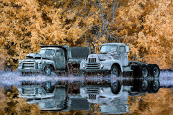 536558bc363ff-Color-trucks-IR-Flood-1