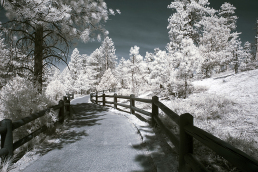 11-infrared-photography-mike-irwin