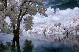 15-infrared-photography-mike-irwin